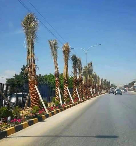 حياصات يكتب: لفتة جميلة وراقية من