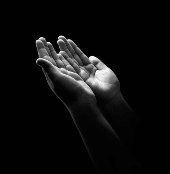 «ذوي الإعاقة» عن الفيديو المتداول: يتناقض