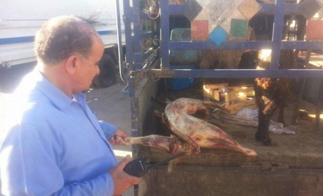 إربد: ضبط 100 كغم لحوم فاسدة