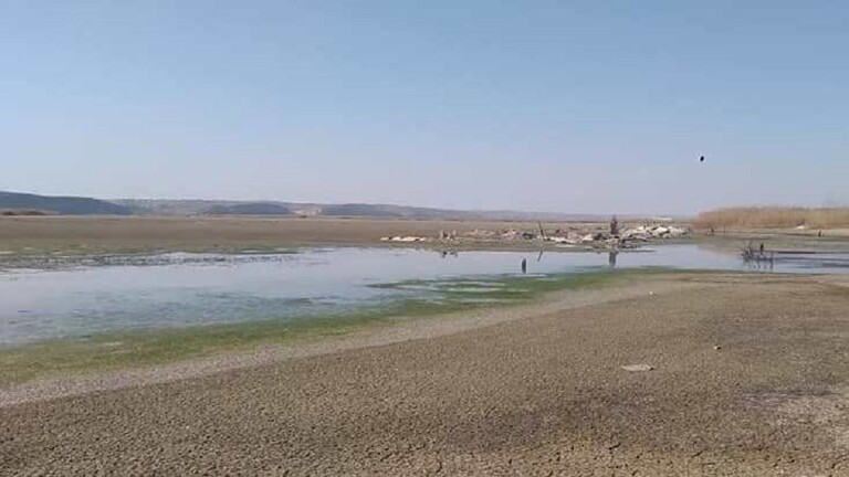 انقطاع الكهرباء عن محافظة سورية لليوم