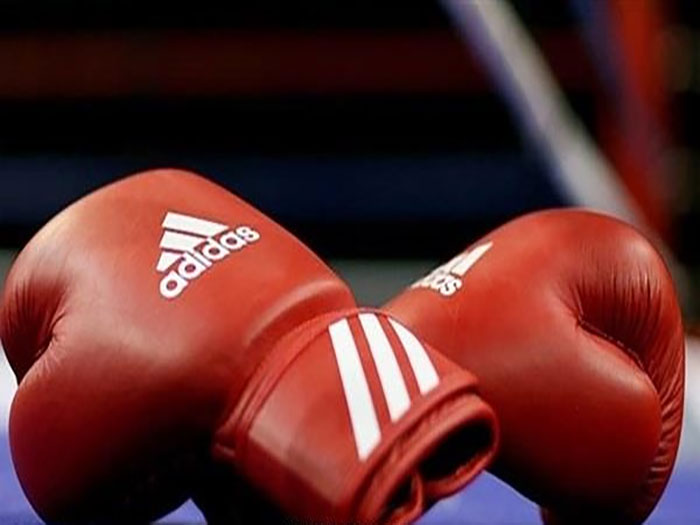 اتحاد الملاكمة يكشف تفاصيل التقرير المرفوع