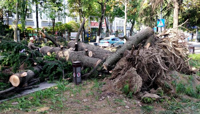 عواصف عاتية تقتل 11 في الصين