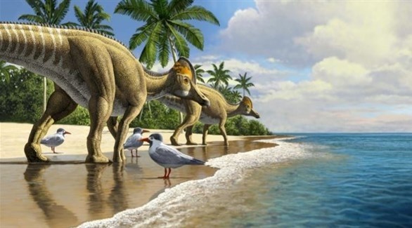 للمرة الأولى.. اكتشاف حفرية لطائر عملاق