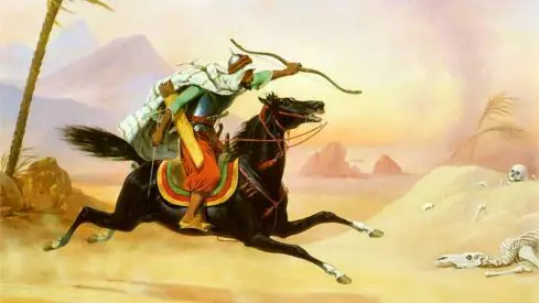 ألف سنة من فقدان الذاكرة