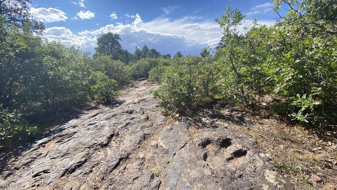 أغرب من الخيال.. اختفت لشهور وعاشت