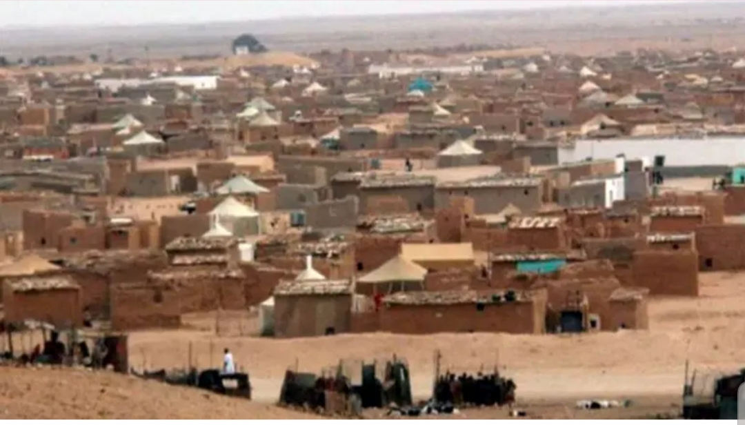 من جديد.. الجيش الجزائري يطلق النار