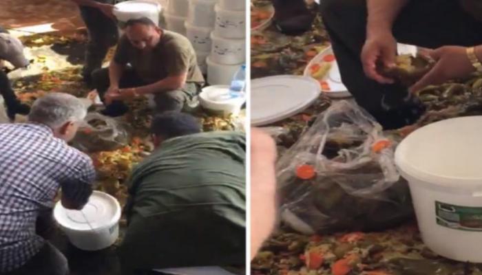 مكدوس لبناني بـالكوكايين.. جريمة موثقة