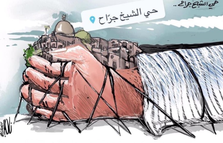 شيماء التميمي تكتب عن حي الشيخ