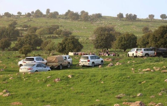 عجلون: لجنة السلامة العامة تدعو للتقيد