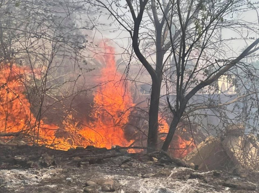 احراق مزارع بالشونة.. احذروا تحويل التضامن