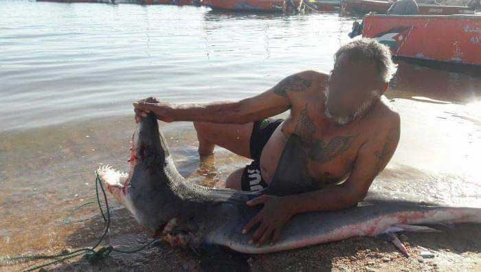 بالصور: ستيني يصطاد سمكة قرش في