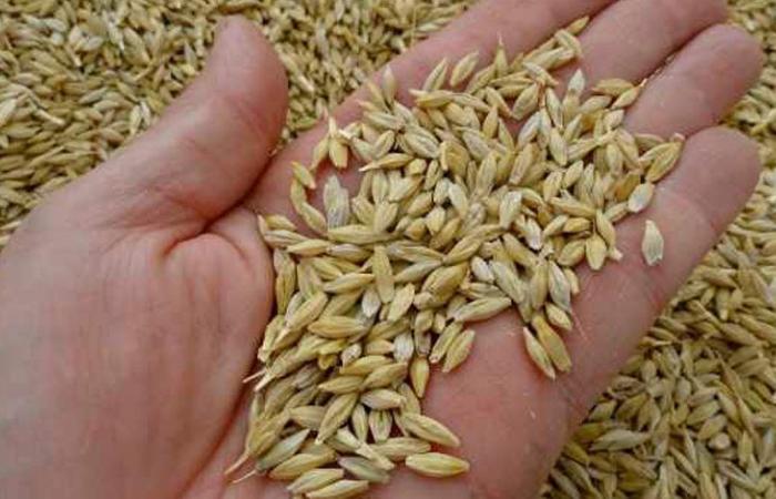 الأردن يطرح مناقصة جديدة لشراء 100