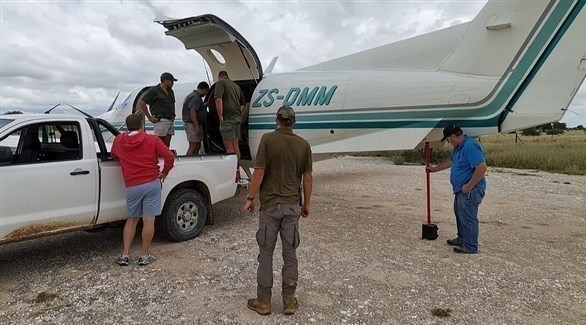 تقنية تحدد درجة غياب الوعي المطلوبة