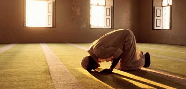 هل هناك صلاة وقت ضرورة العصر؟