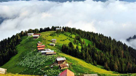 أسألك مرافقتك في الجنّة