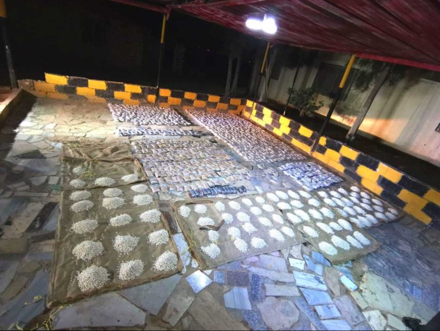 القوات المسلحة: مقتل 3 متسللين والقبض