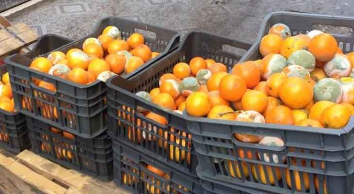 ’الأمانة‘ تضبط برتقال ’متعفن‘ لإنتاج عصائر