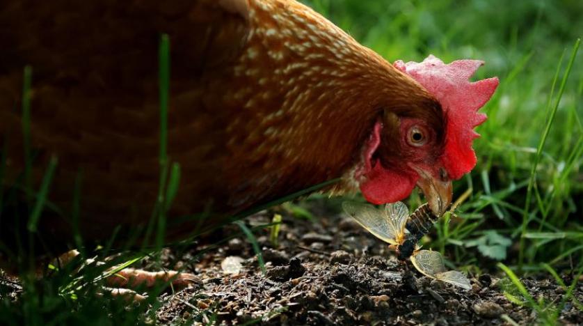 السلطات الصحية الأمريكية لمواطنيها: توقفوا عن