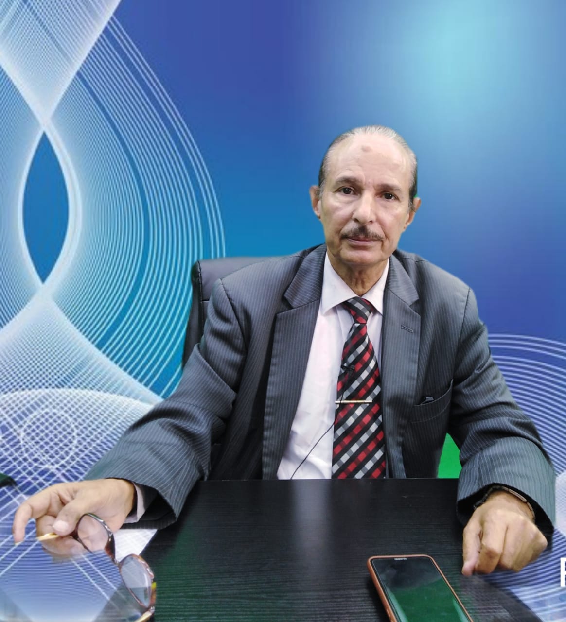 دويدار: الجالية المصرية تتجه لتأسيس لجان