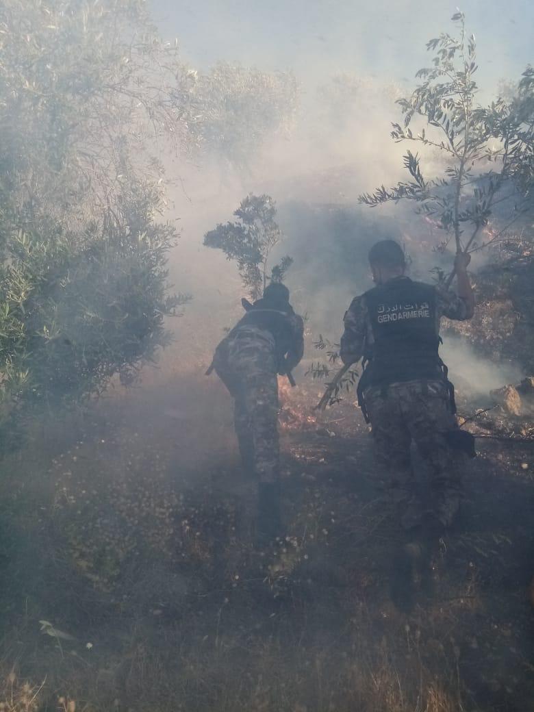 بتضاريس صعبة.. حريق هائل بمساحة 1200