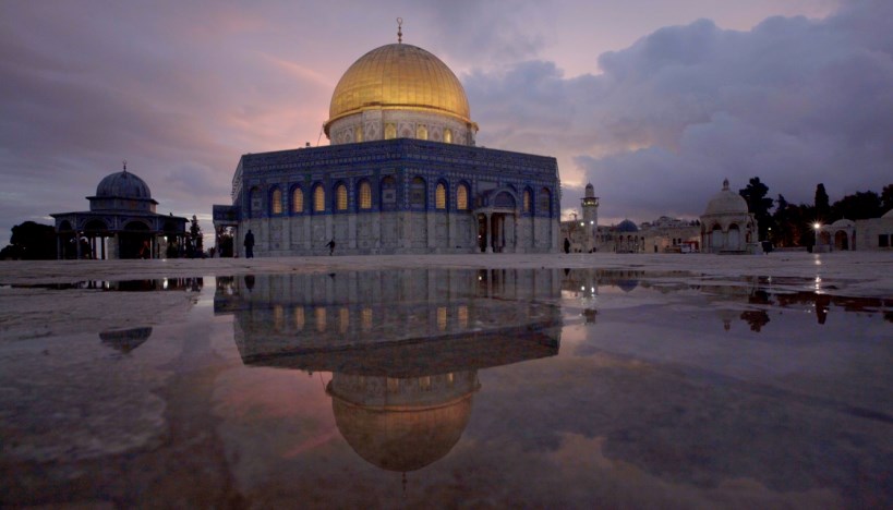 «المهندسين الزراعيبن» و«الصيادلة» تطلقان حملة تبرعات