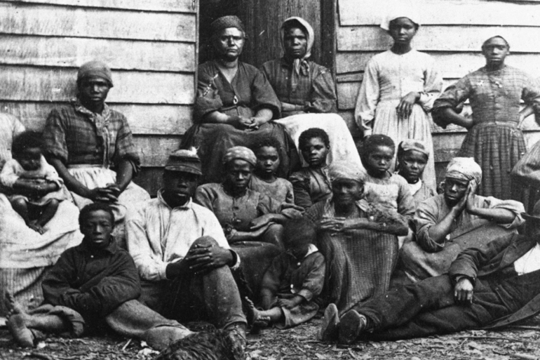 مزيج متنوع من سلالات الأسلاف القدامى..