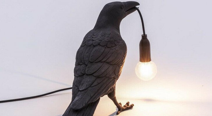 حياصات: فرضية أن يكون طير كبير