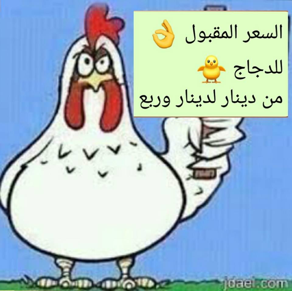 حملة المقاطعة: ’السعر المقبول للدواجن من