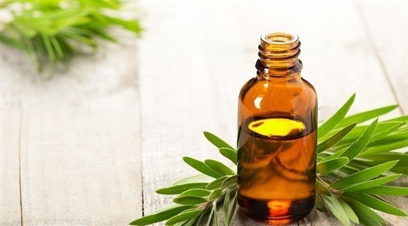 زيت شجرة الشاي يحارب البثور ويعالج