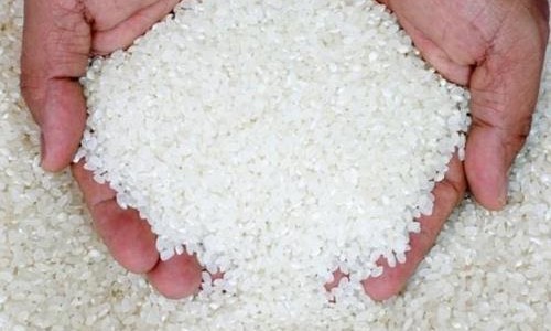 ’الغذاء والدواء‘ تنفي وجود الأرز البلاستيكي
