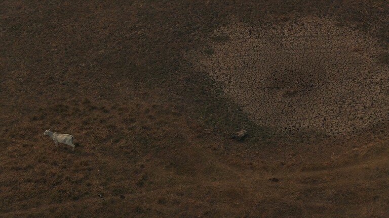 حالة تأهب في البرازيل بسبب أسوأ