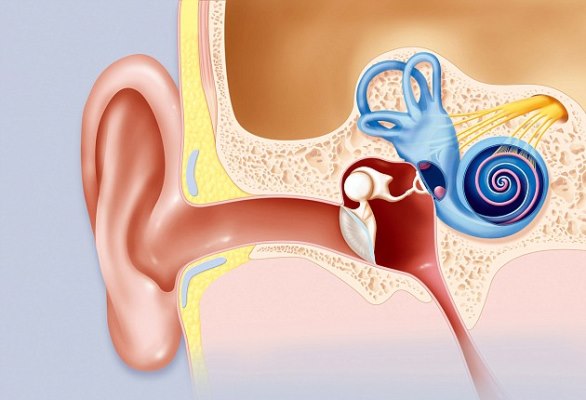 نصائح مفيدة لمواجهة دوار السفر