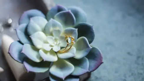 نظر في النصوص القرآنية النّاظمة للعلاقة