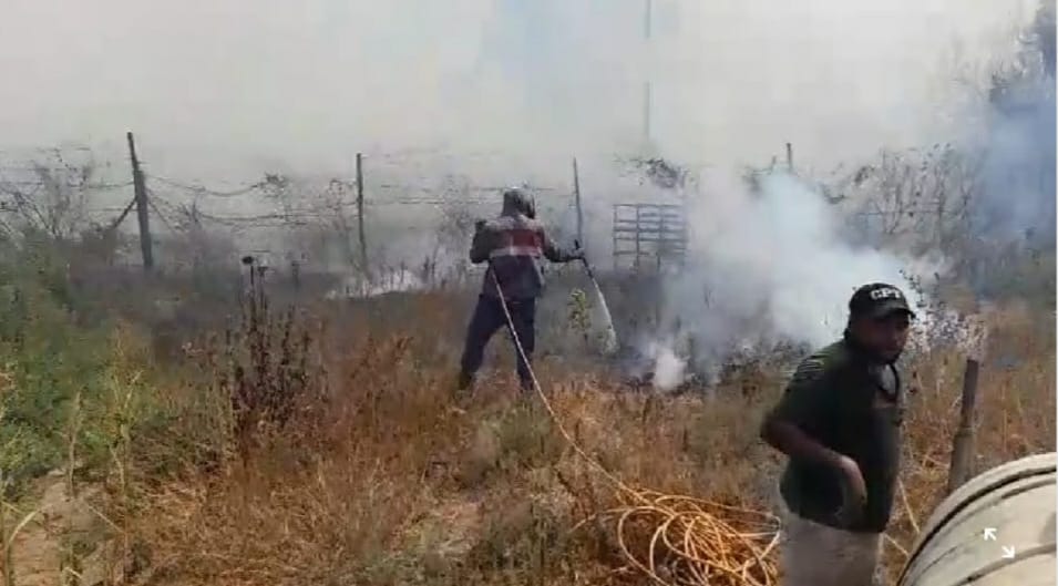 الدفاع المدني يحول دون امتداد حريق