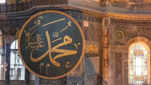 فقه النبي صلى الله عليه وسلم