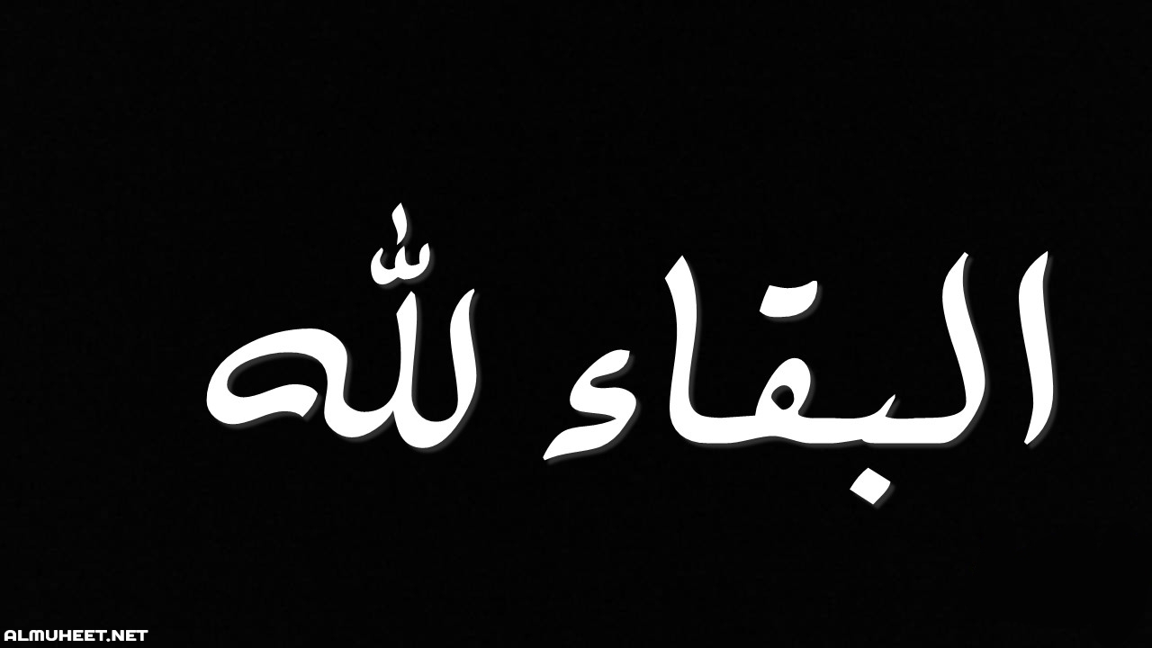 والدة الوزير الأسبق مالك حداد في