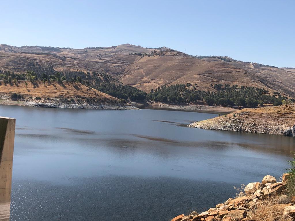 بعد توجيهات الملك.. الحكومة تنفذ حملة