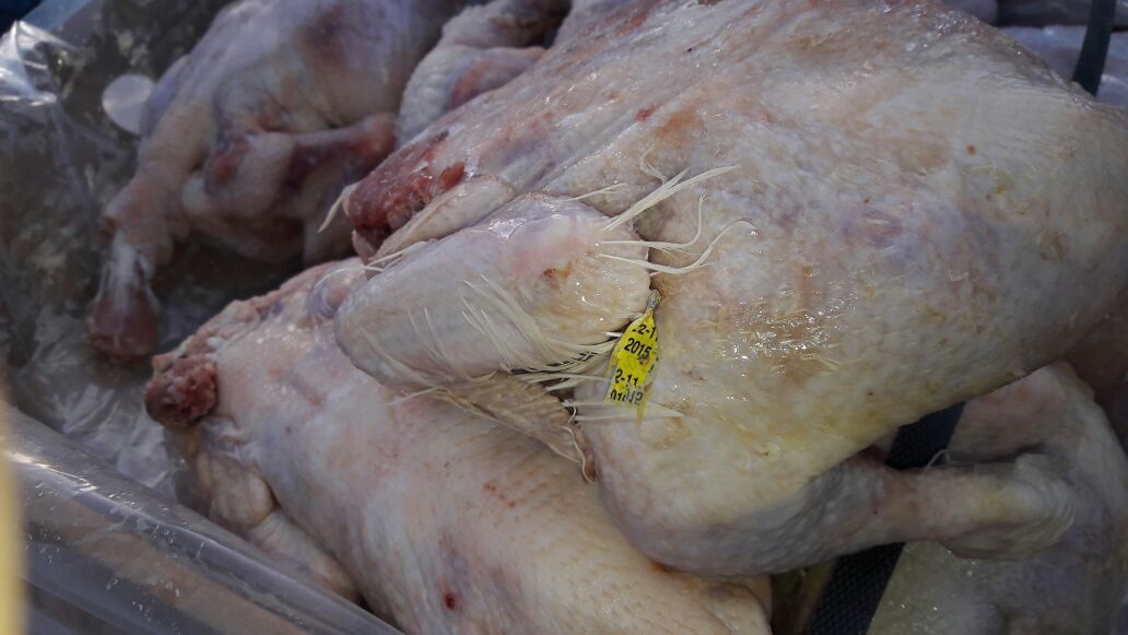 الغذاء والدواء: الدواجن التالفة المضبوطة تعود