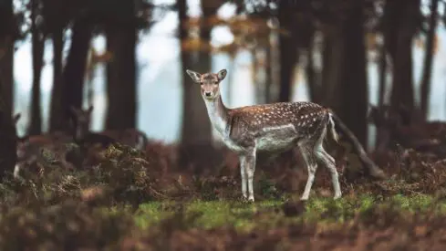 حماية البيئة.. عبادة ركزت عليها التشريعات