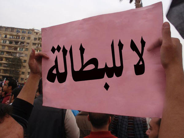 وزارة التخطيط: نعمل على تخفيض البطالة