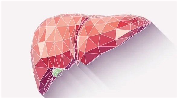 أول كبد اصطناعي بتقنية الطباعة ثلاثية