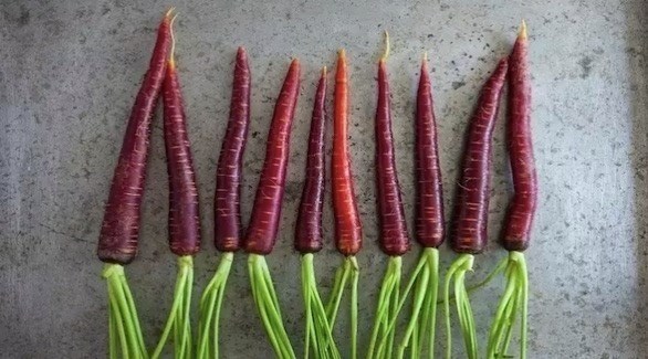 5 فواكه وخضروات أرجوانية عليك إضافتها