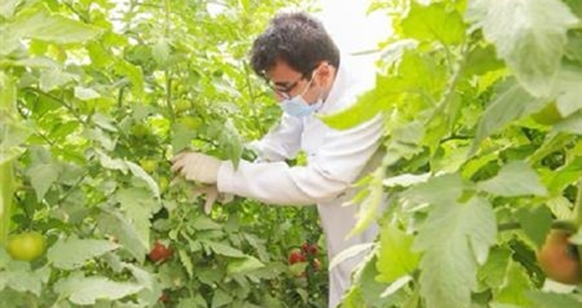 نظام يحدد أسس الوحدات الزراعية في