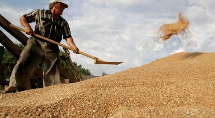 الجزائر .. العثور على خنزير نافق