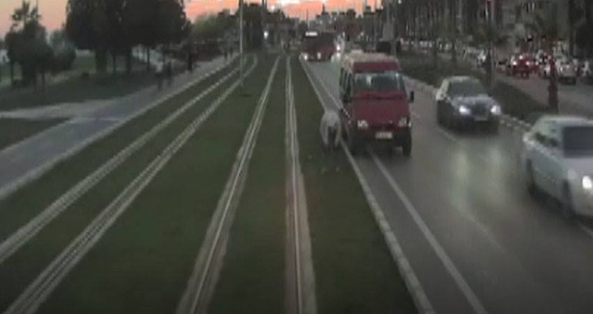 مشهد مثير.. تركيّ يصلّي على سكة