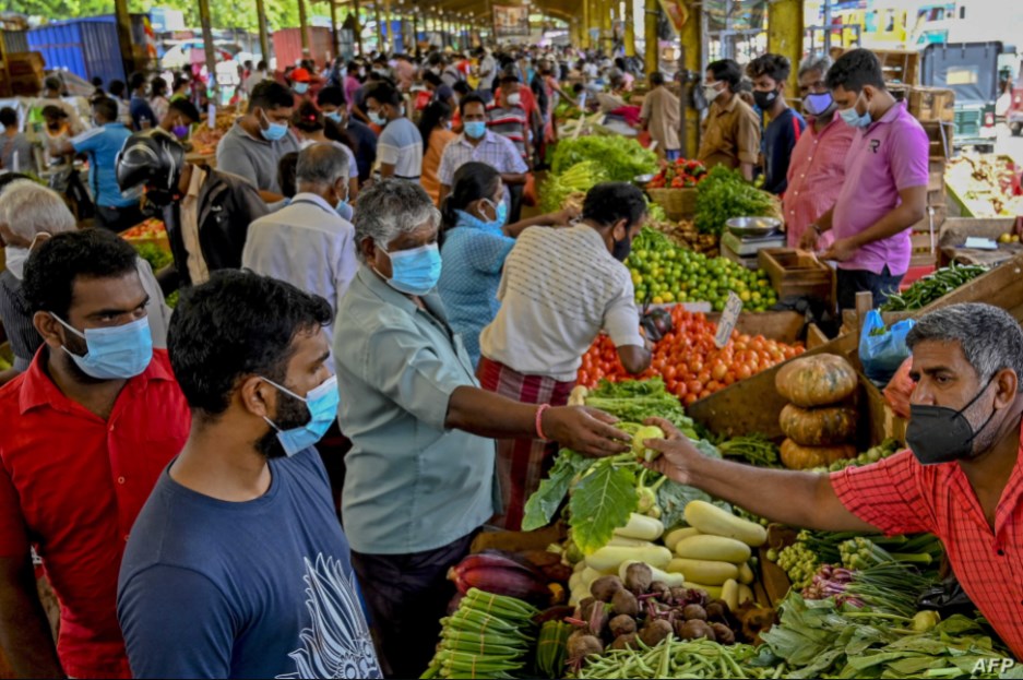دراسة جديدة بشأن كورونا.. مناعة القطيع