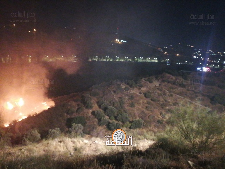 وزارة الزراعة تنوه: الحريق في وادي