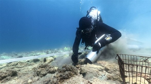 اكتشاف مستوطنة عمرها 6 آلاف عام