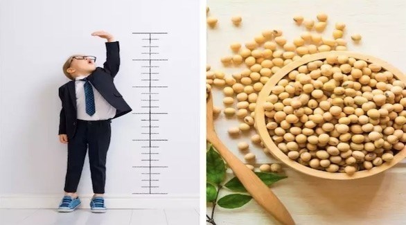 أهم الأطعمة التي تساعد على تعزيز