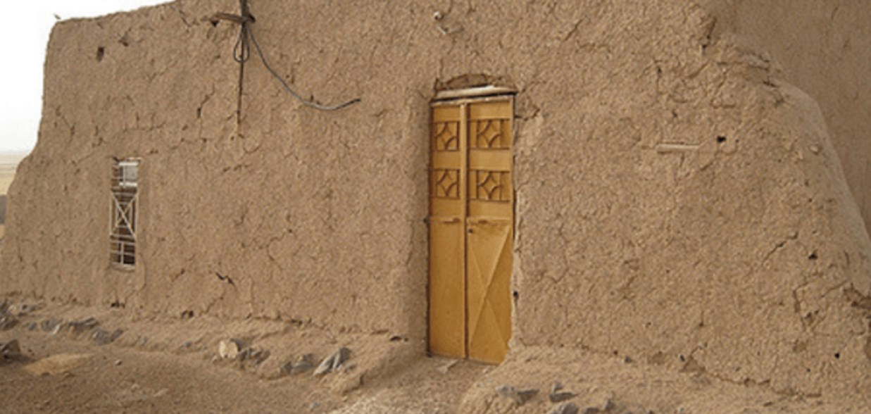 قتلوا شقيقتهم في وضح النهار.. ووثقوا